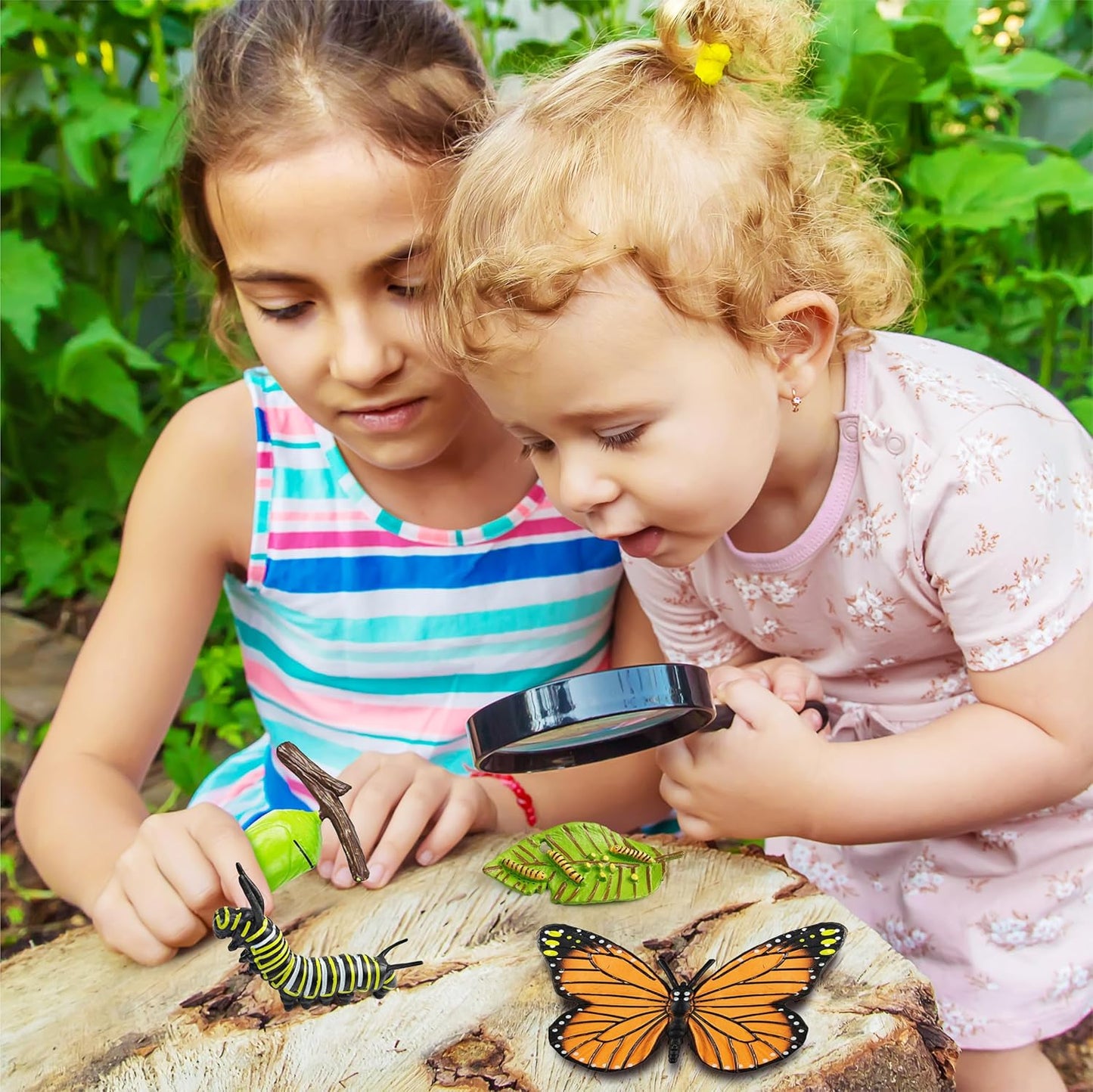 15 Plant Life Circle Flashcards with 4 Plastic Figurines-Seed to Plant, Plants Introduction Card Plants Growth Details for Nature Lovers & Adults, Montessori Toy for Kids