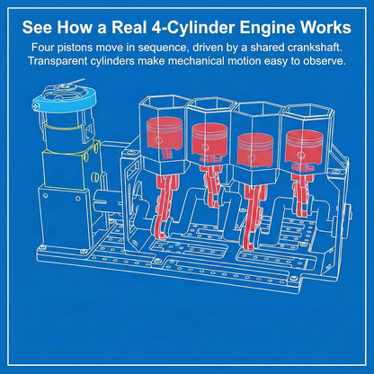 4-Cylinder Working Engine Model DIY Assembly STEM Kit for Kids Ages 8–14, Build with Moving Pistons and Crankshaft, Hands-On Mechanical Engineering Learning Kit