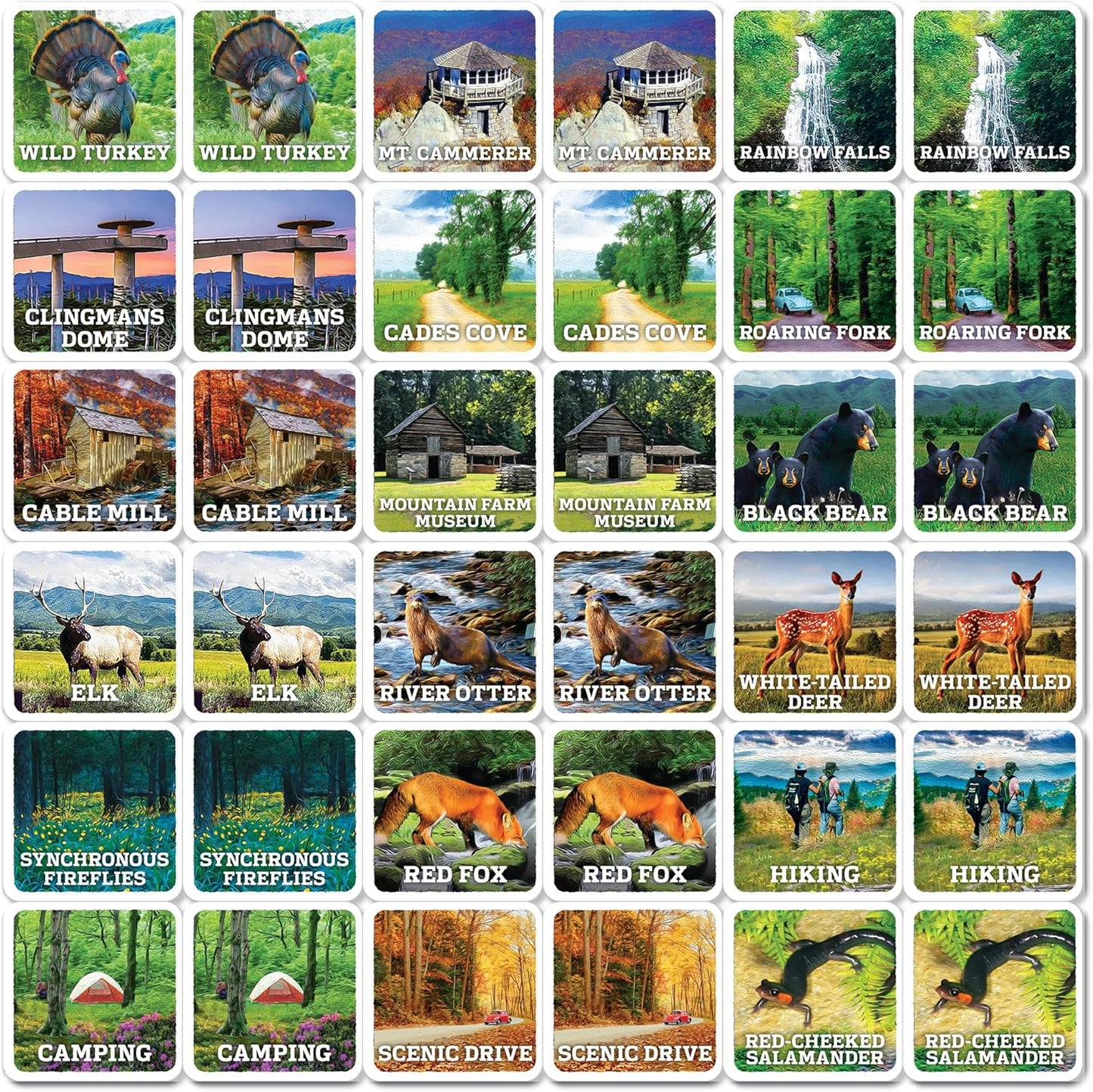 MasterPieces Officially Licensed CAT Picture Matching Card Game for Kids and Families