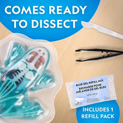 National Geographic Shark Dissection Kit – Glow in the Dark Great White Shark Anatomy Lab with 12 Bones & Organs, Refill Pack, Kid-Friendly Tools & Learning Guide