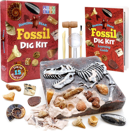 DANCING BEAR Fossil Dig Kit, Excavate 15 Prehistoric Fossils including Real Dinosaur Bones, and Shark Teeth, Paleontology STEM Education for kids, Fun Science Activity Gift Sets for Girls and Boys