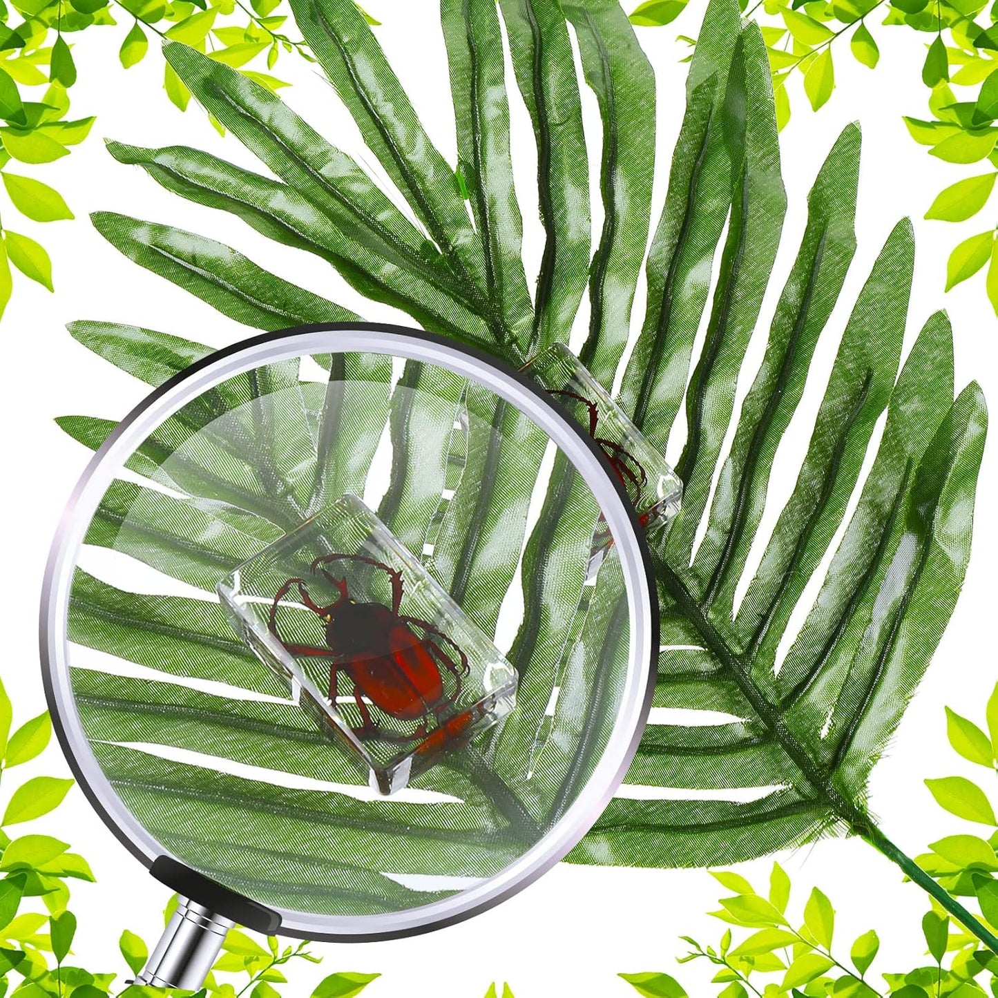 Macarrie 12 Pcs Insect Specimens for Kids Bug Collection Kit Real Specimens of Various Butterflies Beetles Classroom Science Education Animal Collection Bug Preserved Biology(Ladybug)