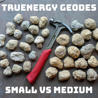 TruEnergy Jumbo Break Your Own Geodes – 2 Massive Natural Crystal Geodes 4.5 to 6.5 Inch, Easy Crack-Open Geology Specimens – Magnifying Glass & Geologist Guide – Gift Ready - [Jumbo]