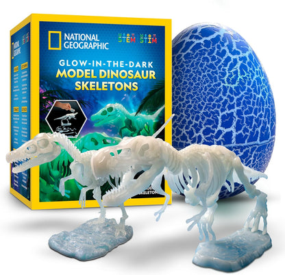 National Geographic Giant Dinosaur Egg Activity Kit – 15+ Dino Crafts, Painting Cars, Clay Models, Dig Brick, Stickers & Learning Guide, Dinosaur Science Toy for Boys & Girls