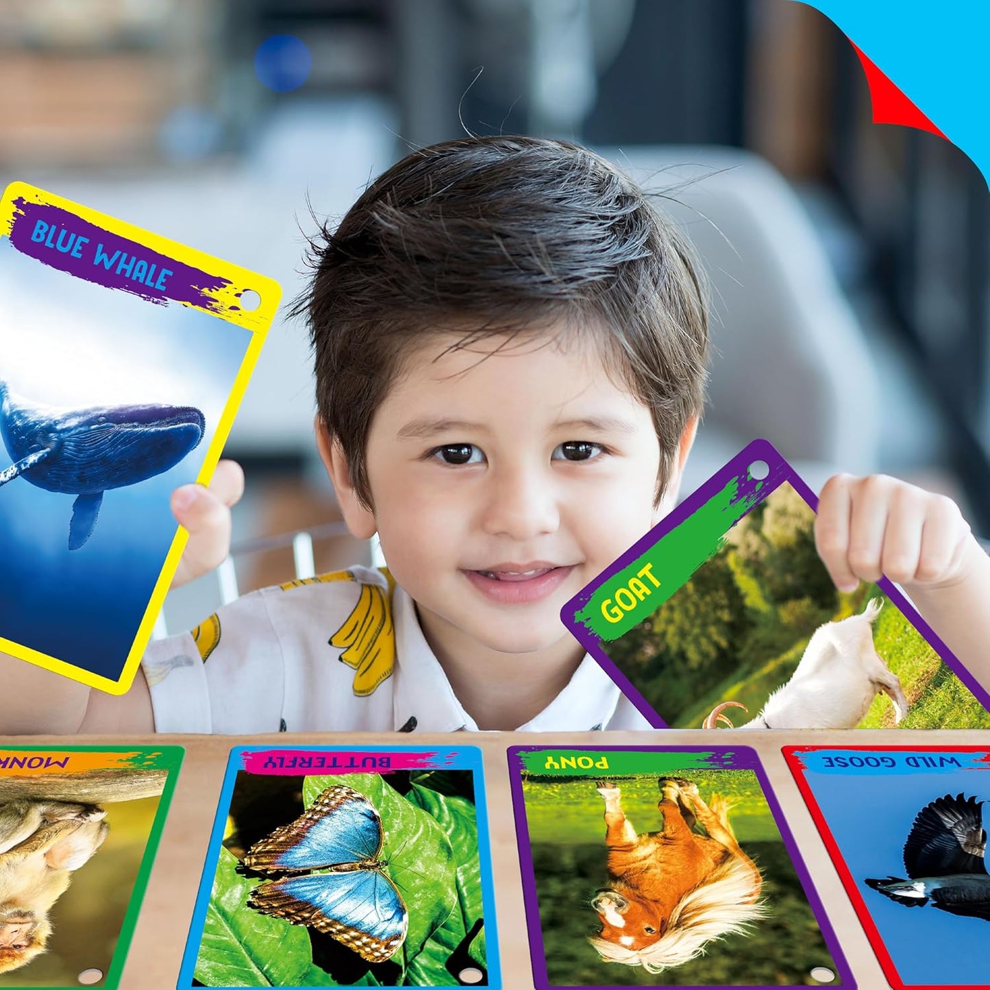 50 PCS Kid First Cognitive Flashcards,Double Sided Printed 7 in 1 Colorful Cards Alphabet,Numbers, Foods,Animals,Shapes,Colors with 3 Reclosable Rings,Learning Tool for Pre-K Kindergarten Toddlers