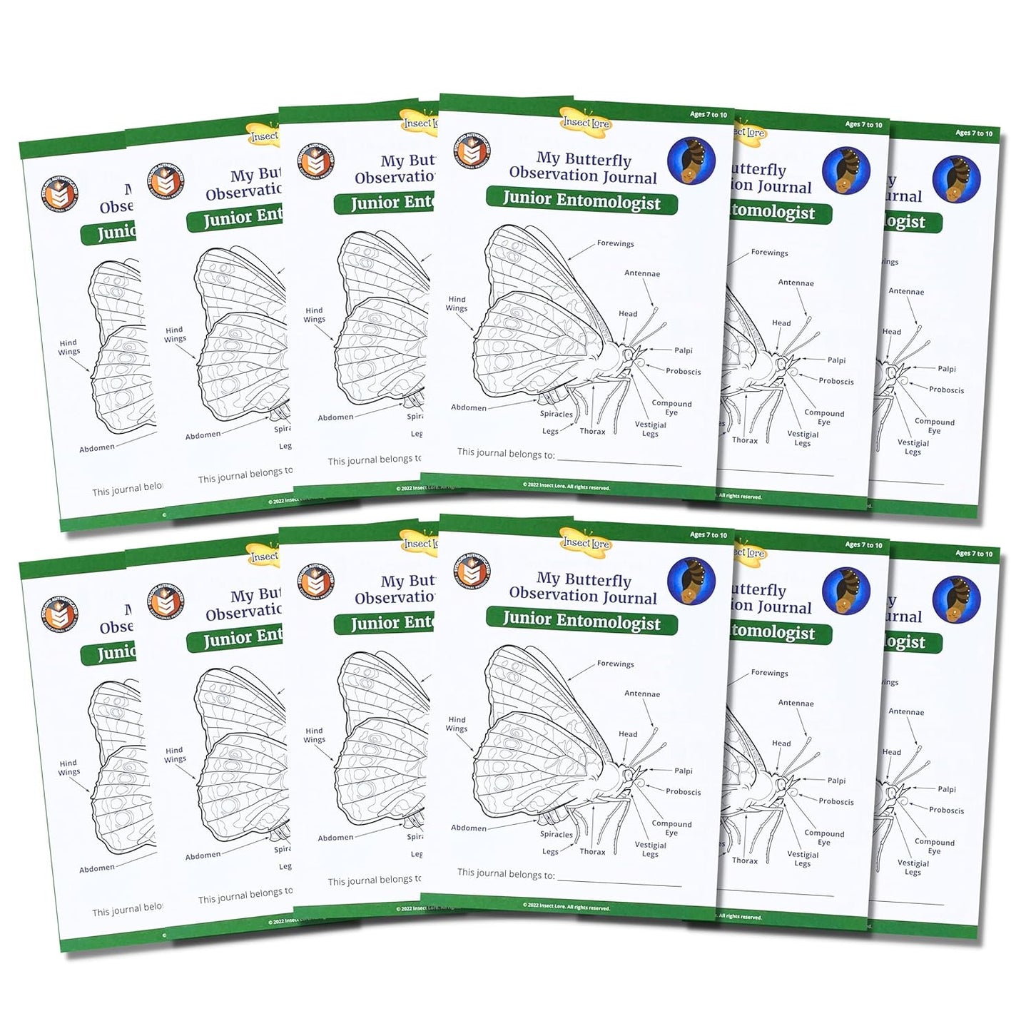 Insect Lore Junior Entomologist Activity Journals | 12 Journal Classpack | Ages 7-10 |Class Set of STEM Learning Booklets