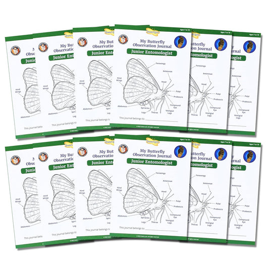 Insect Lore Junior Entomologist Activity Journals | 12 Journal Classpack | Ages 7-10 |Class Set of STEM Learning Booklets