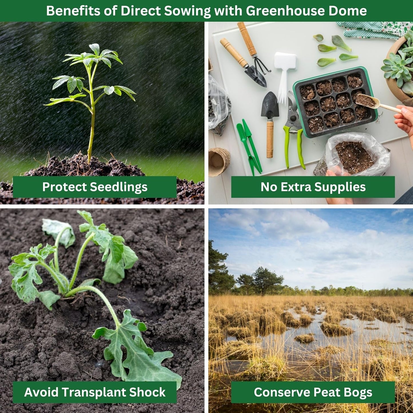 Kids Sunflower Garden Kit – Grow Your Own Sunflowers from Seeds with Greenhouse Germination Domes & Grow Rings, Non-GMO Seeds, BPA-Free | Gardening Gift for Kids & Families, Made in USA