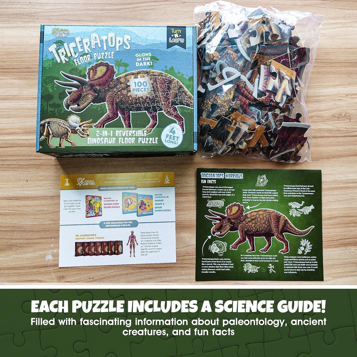 Tyrannosaurus Rex Dinosaur Jigsaw Puzzle | 100-Piece Double Sided Floor Puzzle with Glow-in-The-Dark Skeleton On Other Side | 4 FT Scientifically Accurate Dino Illustration | Educational Toy for Kids