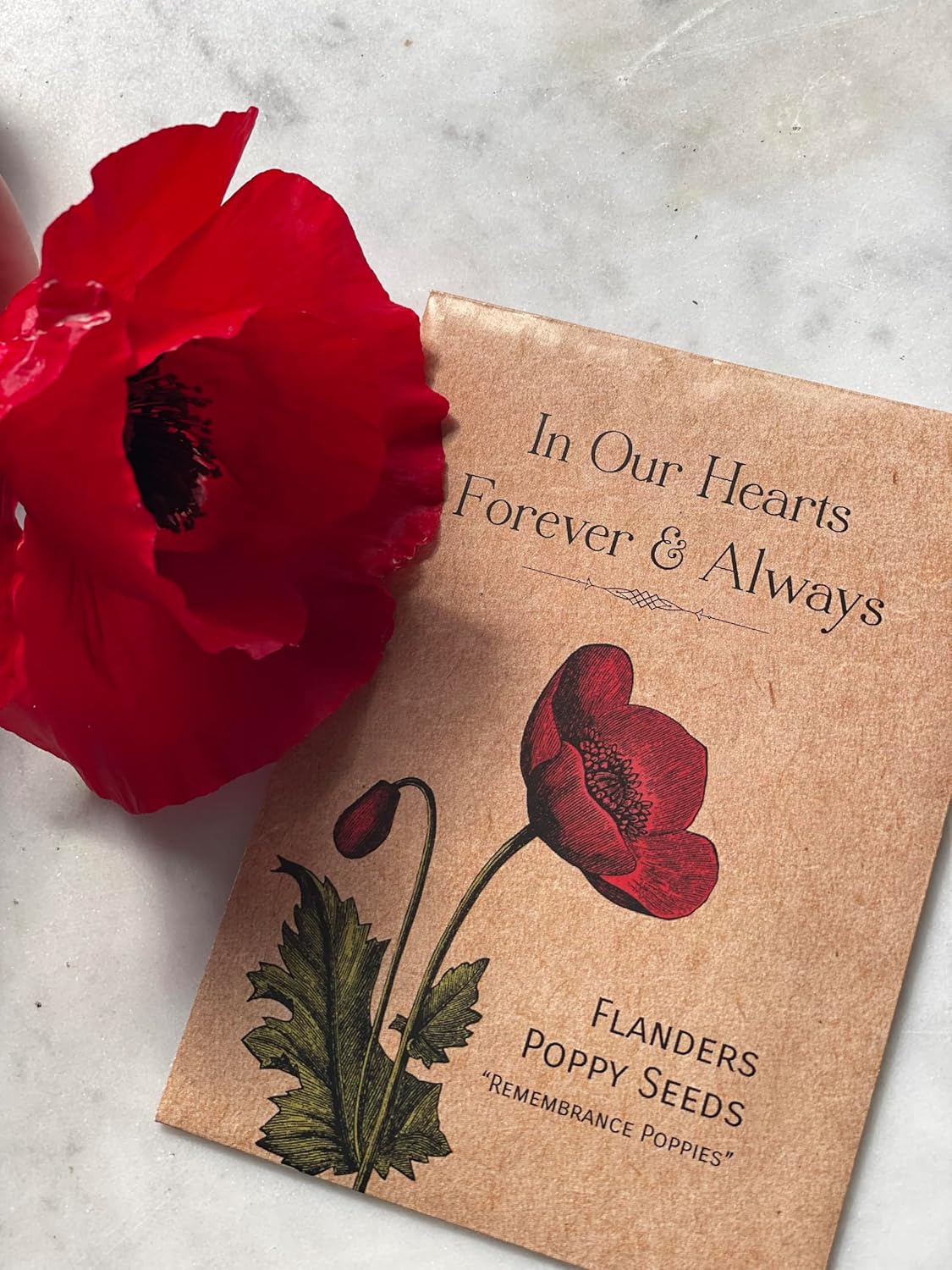 Grateful Memories Dove with Bird and Butterfly Mix Seed Favor Packets - Gardening Gifts - Wild Flower Seeds for Planting - Garden or Indoor Plant Flowers - Growing Plants in Memory