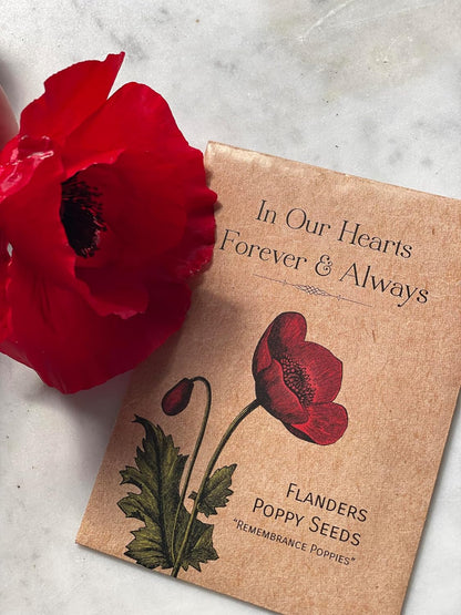 Grateful Memories Dove with Bird and Butterfly Mix Seed Favor Packets - Gardening Gifts - Wild Flower Seeds for Planting - Garden or Indoor Plant Flowers - Growing Plants in Memory