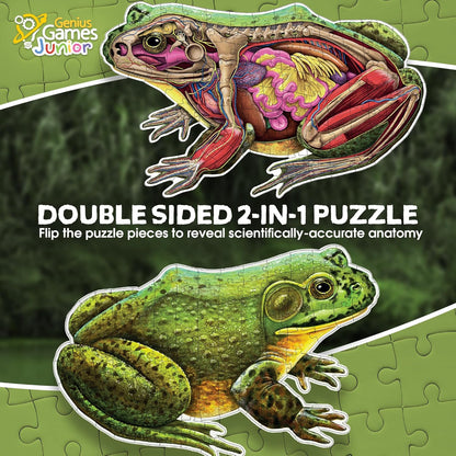 Bullfrog Animal Anatomy Floor Puzzle | 100-Piece Double Sided Jigsaw Puzzle | Large-Sized, Over 4 Feet Scientifically Accurate Illustration of Frog - Fun and Educational Toy for Kids, Toddlers
