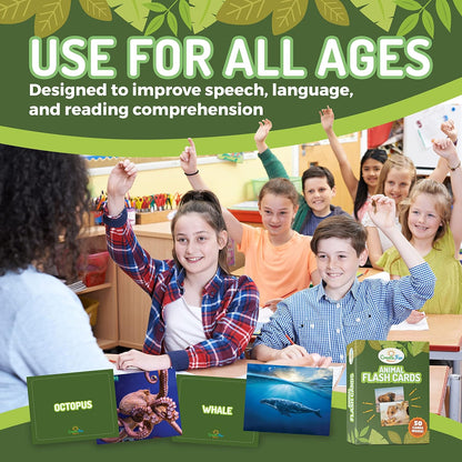 50 Noun Flash Cards, Fun Vocabulary Builder Educational Learning Photo Cards for Kids, Homeschool, Adults, Seniors, Speech Therapy, ESL, Autism, Dementia, Aphasia, SLP, ABA, and Occupational Therapy