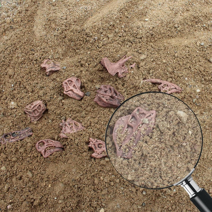 LC JoyCre Mini Dinosaur Bones for Kids Sandbox Toys - Realistic Fake Dinosaur Bones for Kids to Dig Up