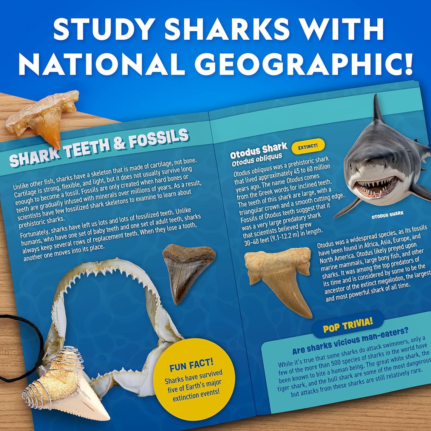 National Geographic Shark Tooth Dig Kit – Excavate Replica Teeth Fossils from Ancient Sharks and Make a Shark-Tooth Necklace, STEM Science Kit for Kids Ages 6-8, Educational Fossil Dig Activity