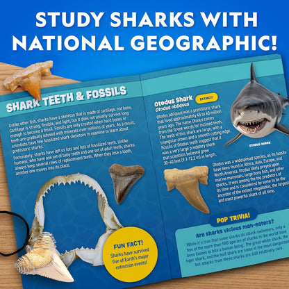 National Geographic Shark Tooth Dig Kit – Excavate Replica Teeth Fossils from Ancient Sharks and Make a Shark-Tooth Necklace, STEM Science Kit for Kids Ages 6-8, Educational Fossil Dig Activity