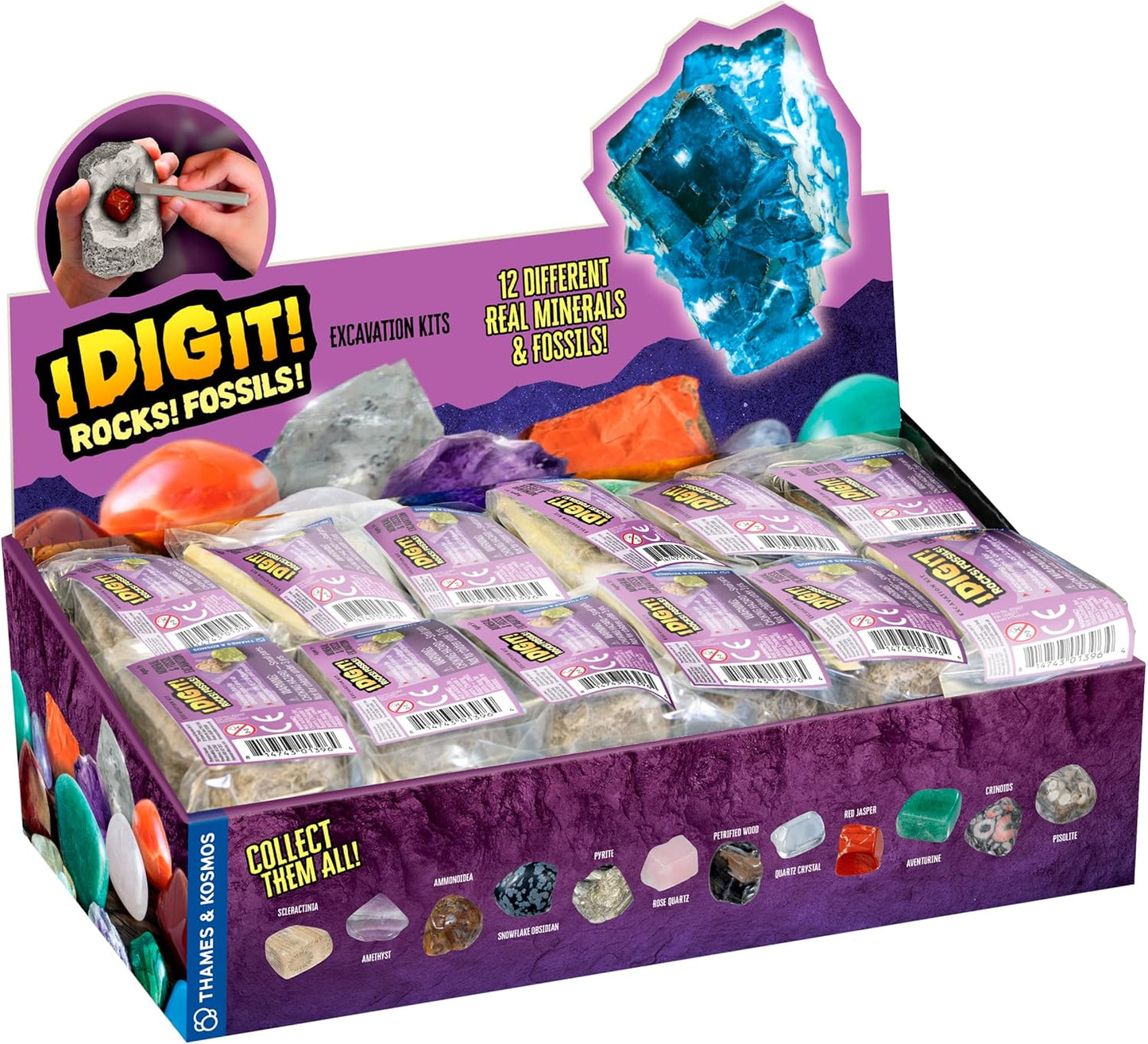 Thames & Kosmos I Dig It! Rocks & Fossils Excavation Gift Set | 24 Excavation Kits w/Mineral & Fossil Specimens | Party Favors, Stocking Stuffer, Easter Baskets | Collect 12 Unique Specimens | EN/FR