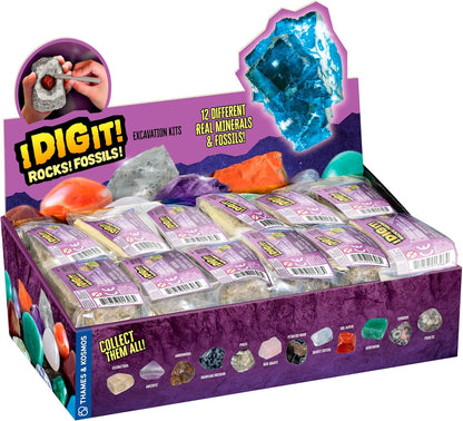 Thames & Kosmos I Dig It! Rocks & Fossils Excavation Gift Set | 24 Excavation Kits w/Mineral & Fossil Specimens | Party Favors, Stocking Stuffer, Easter Baskets | Collect 12 Unique Specimens | EN/FR
