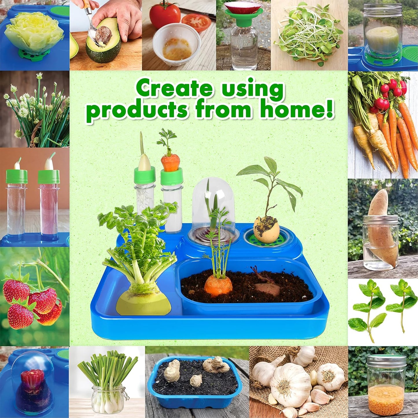 ReGrow Science Kit for Kids 8+ - Replant Simple Ingredients to Generate New Plants! 15+ Experiments - 12 Tools Included - Growing Kits for Kids Boys Girls - STEM Educational Lab