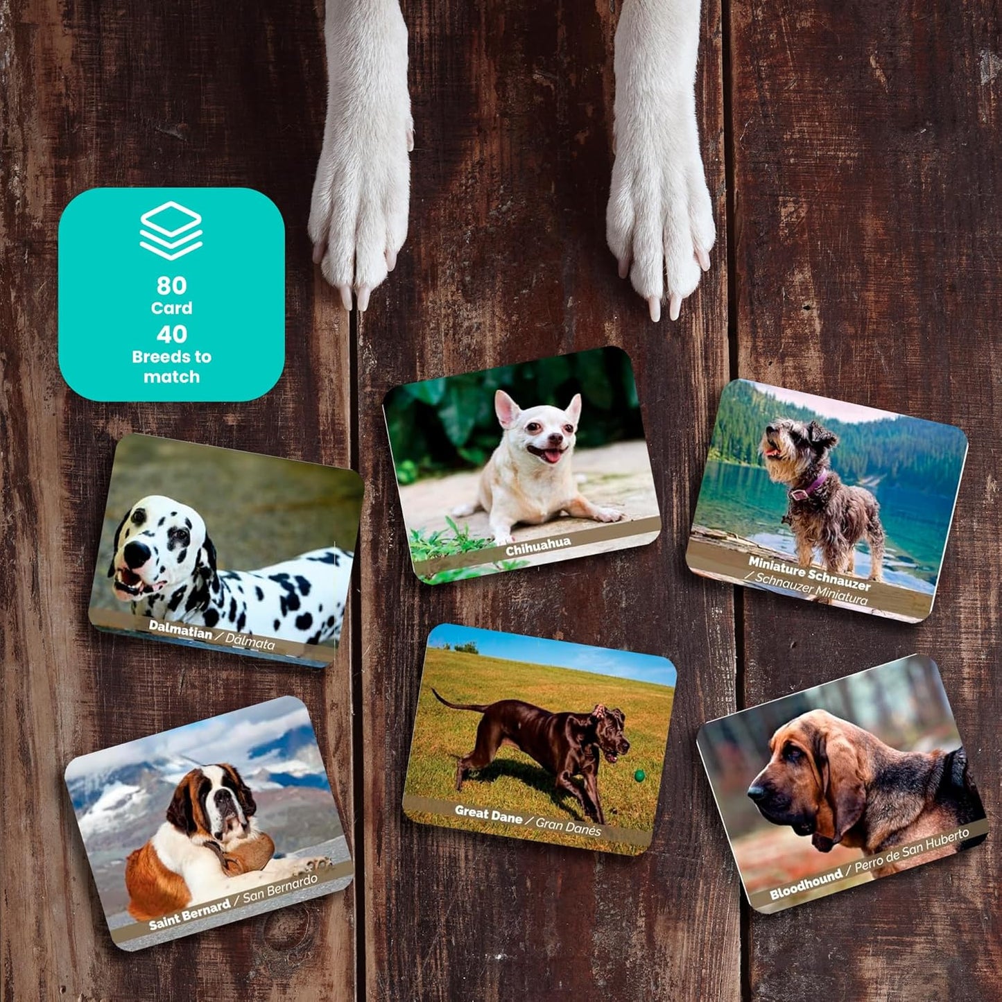 Menique Wild Animals Memory Matching Game – 80 Cards (40 Pairs) with Real Photos – Includes Educational Booklet with Animal Facts – Fun & Cognitive Game for Kids and Adults