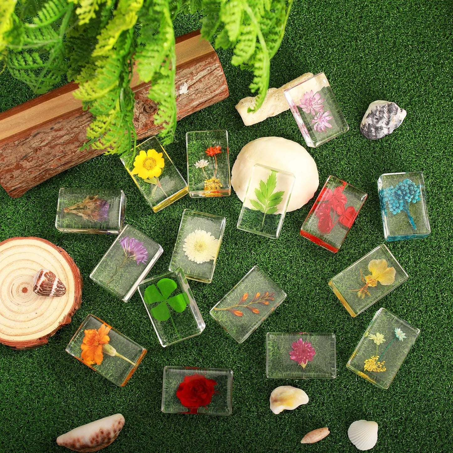 16 Pcs Ladybug Insect in Resin Specimen Butterfly Bugs Collection Paperweights，16 Styles Real Bug Specimen Bug Kit Preserved in Resin for Scientific Educational Display Supplies (Ladybug)