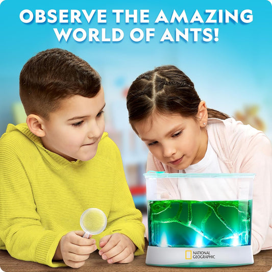 National Geographic Butterfly Growing Kit - Butterfly Habitat Kit with Voucher to Redeem 5 Caterpillars (S&H Not Included), Butterfly Cage, Feeder (Amazon Exclusive)