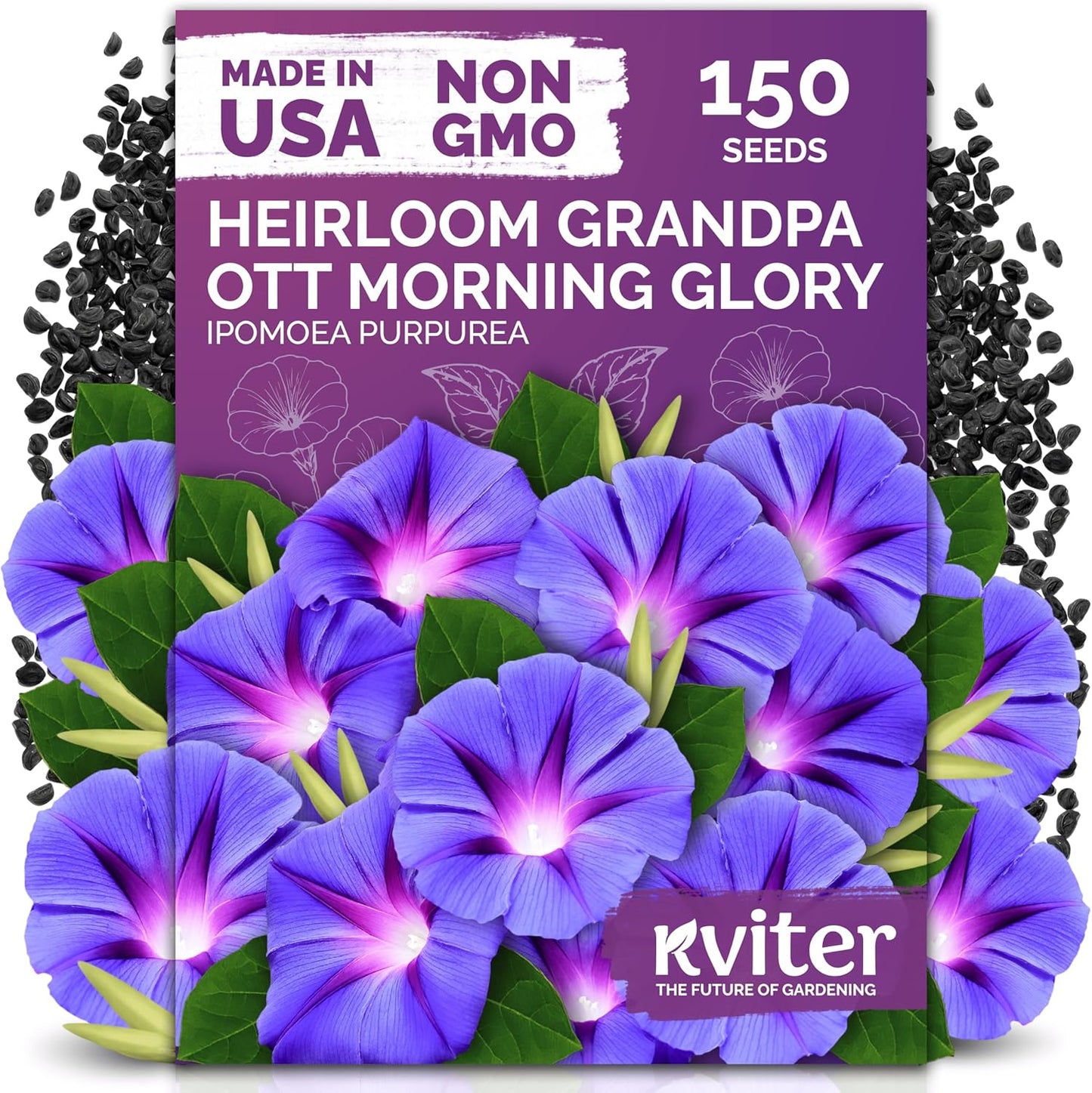KVITER 5,500 Fairy Bouquet Mix Snapdragon Seeds for Planting (Linaria Maroccana) – Known as Toadflax, Heirloom & Organic – Flower Seeds to Plant Outside & Inside – Garden, Containers, Borders, Beds