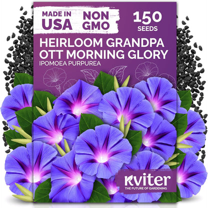 KVITER 5,500 Fairy Bouquet Mix Snapdragon Seeds for Planting (Linaria Maroccana) – Known as Toadflax, Heirloom & Organic – Flower Seeds to Plant Outside & Inside – Garden, Containers, Borders, Beds
