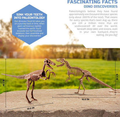Discovery™ Dinosaur Fossil Dig Kit – Excavate & Assemble T-Rex & Velociraptor Skeletons| 3D Dino Bones Puzzles| Jurassic Paleontology Toy for Kids| STEM Science Activity Set| Girls & Boys Gift Ages 6+