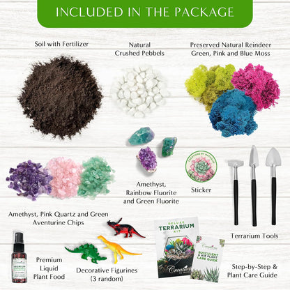 Creations by Nathalie – DIY Large Terrarium Starter Kit with Soil, Moss, Pebbles, Healing Crystal, Tools & Supplies – Terrarium Kit for Adults & Teens, Handcrafted in USA