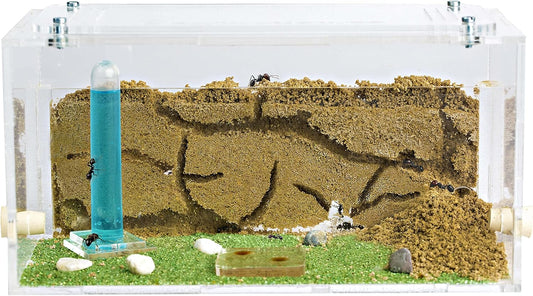 Anthouse.ES - Natural Sand Ant Farm - Acrylic Starter Kit 20x10x10 cm - Sand, Pipette, and Water Dispenser Included - Easy Installation