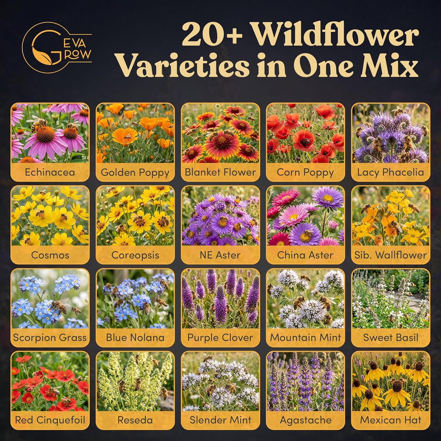 Mini Wildflower Seed Shaker - Save The Bees Seed Mix, by GevaGrow | 80,000+ Seeds | Pollinator & Bee Attracting Flower Seeds Bulk for Planting in Pots & Outdoor Gardens | 2 Ounce