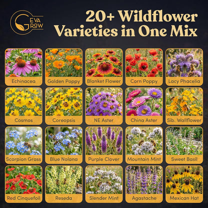 Mini Wildflower Seed Shaker - Save The Bees Seed Mix, by GevaGrow | 80,000+ Seeds | Pollinator & Bee Attracting Flower Seeds Bulk for Planting in Pots & Outdoor Gardens | 2 Ounce