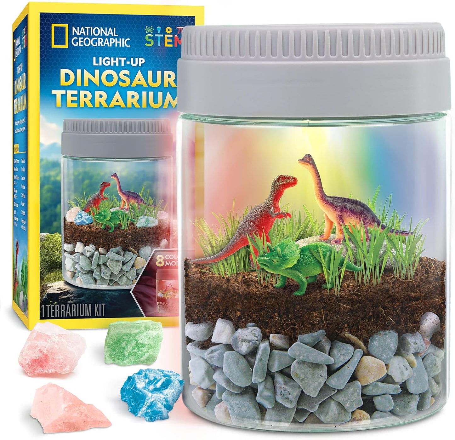 National Geographic Dinosaur Terrarium Kit for Kids – Multicolor Light-Up Terrarium, Build a Dino Habitat with Real Plants & More, Science Kit, Dinosaur Toys for Kids