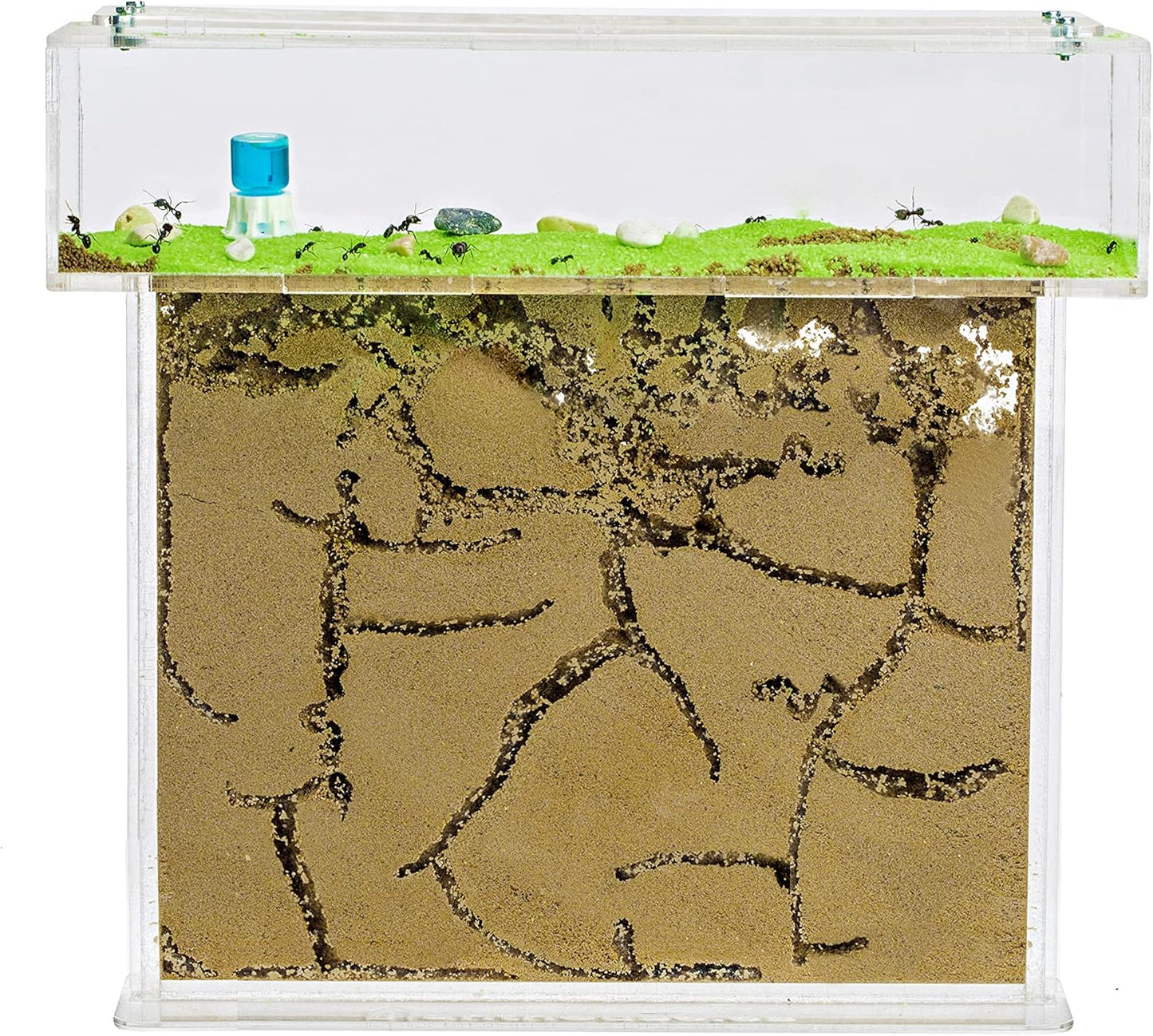 AntHouse - Natural Sand Ant Farm | Acrylic T Big Kit 9.84x7.87x0.59 in