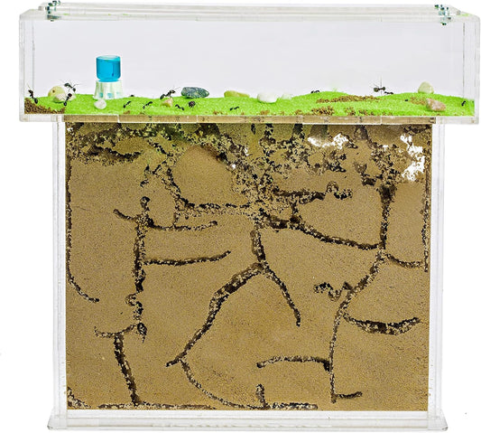 AntHouse - Natural Sand Ant Farm | Acrylic T Big Kit 9.84x7.87x0.59 in