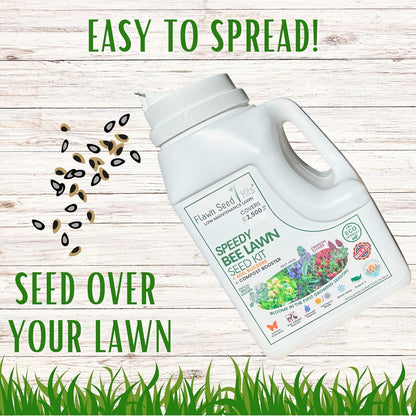 Flawn Seed Kits Speedy Bee Lawn, 500 SqFt, Dutch & Crimson Clover, Self-Heal, Easy to Spread, Low Maintenance, Pet, Kid, Eco-Friendly Regenerative