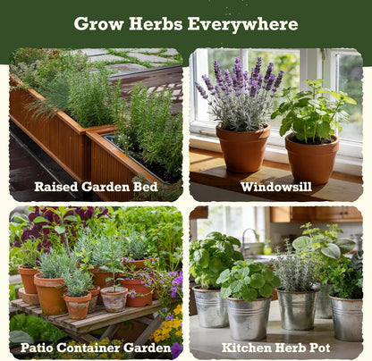 Lush&Dew Ancestral Apothecary Medicinal Tea Herb Seed Chest, 36,000+ Non-GMO Survival Seed Kit, Gardening Gifts for Women Men, 40 Types Heirloom Garden Seeds for Planting Herbs, Raised Bed Windowsill