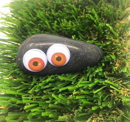 Rock Pet Adoption Kit Funny Novelty Gag Gift (Green Eyes)