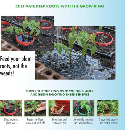 Kids Sunflower Garden Kit – Grow Your Own Sunflowers from Seeds with Greenhouse Germination Domes & Grow Rings, Non-GMO Seeds, BPA-Free | Gardening Gift for Kids & Families, Made in USA
