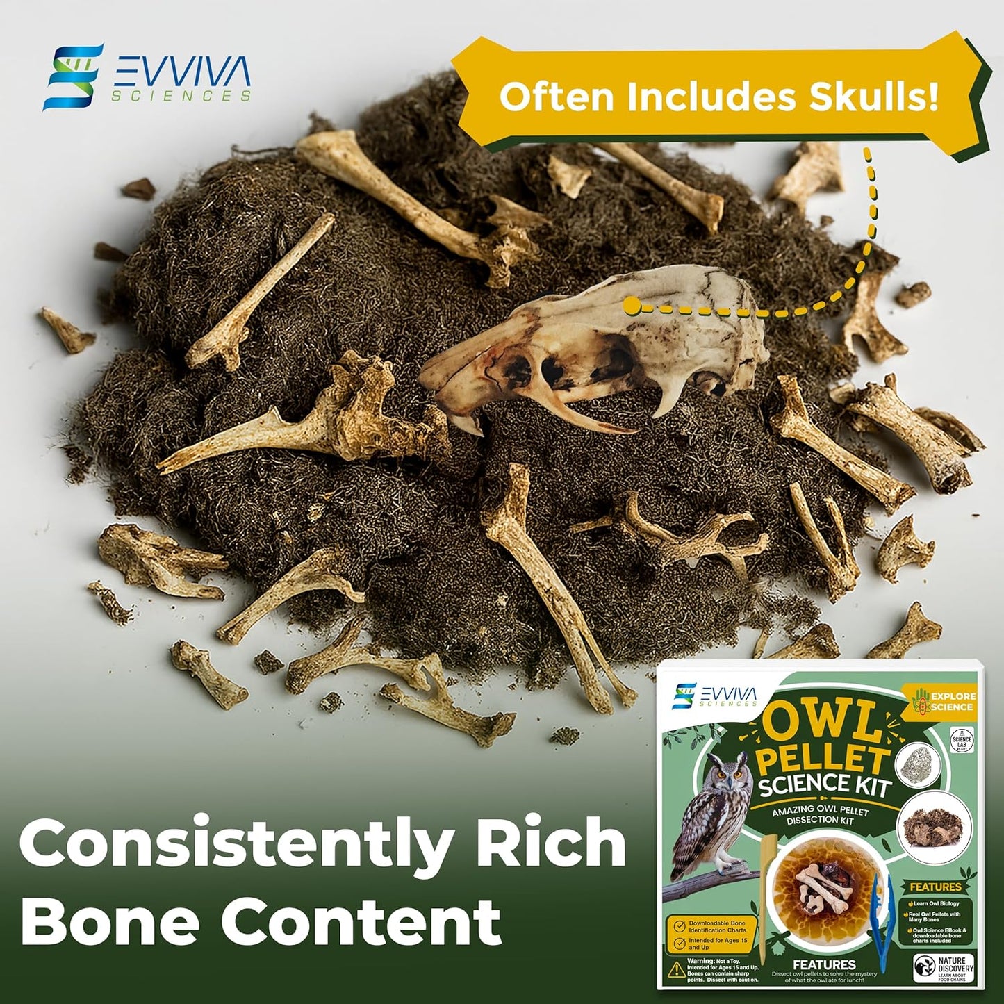 ES EVVIVA SCIENCES Owl Pellet Kit - Dissect 15 Mostly Small Real Owl Pellets w/Tools & PDF Bone Charts - Science Education Kit for Ages 15+ - Hands-On Animal Biology Science Lab Activity