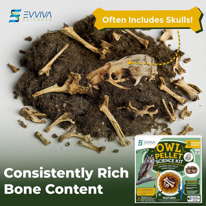 ES EVVIVA SCIENCES Owl Pellet Kit - Dissect 15 Mostly Small Real Owl Pellets w/Tools & PDF Bone Charts - Science Education Kit for Ages 15+ - Hands-On Animal Biology Science Lab Activity