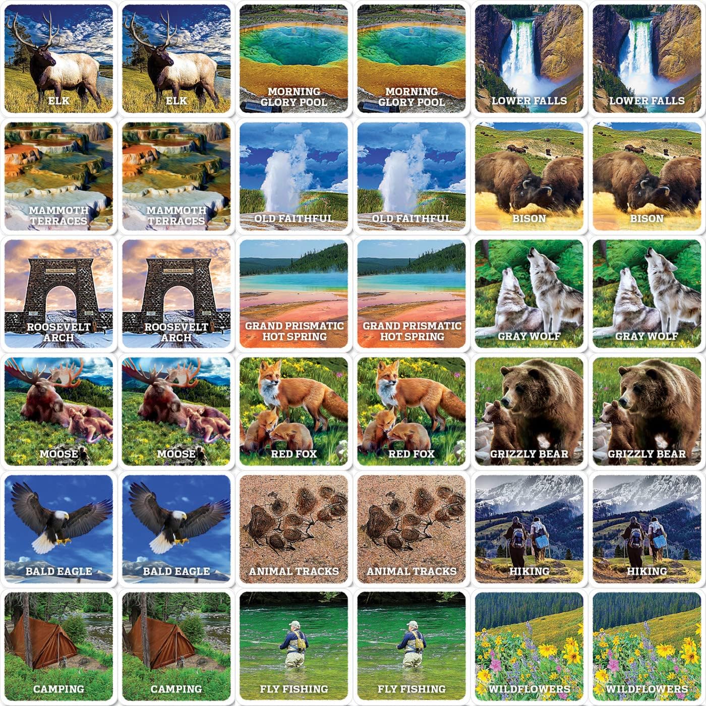 MasterPieces Officially Licensed CAT Picture Matching Card Game for Kids and Families