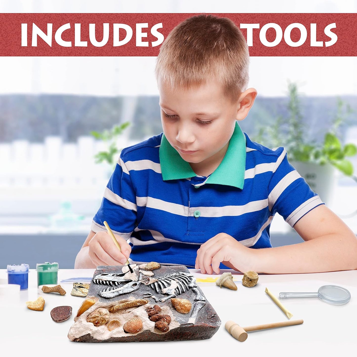 DANCING BEAR Fossil Dig Kit, Excavate 15 Prehistoric Fossils including Real Dinosaur Bones, and Shark Teeth, Paleontology STEM Education for kids, Fun Science Activity Gift Sets for Girls and Boys