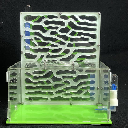 19.5 * 15 * 22cm Large Viewing Area - Care for Live Ants,moisturing arylic ant Habitat for STEM Learning (Green)