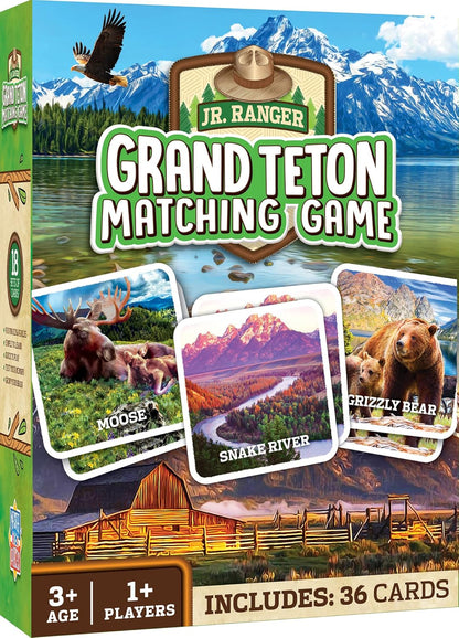 MasterPieces Officially Licensed CAT Picture Matching Card Game for Kids and Families