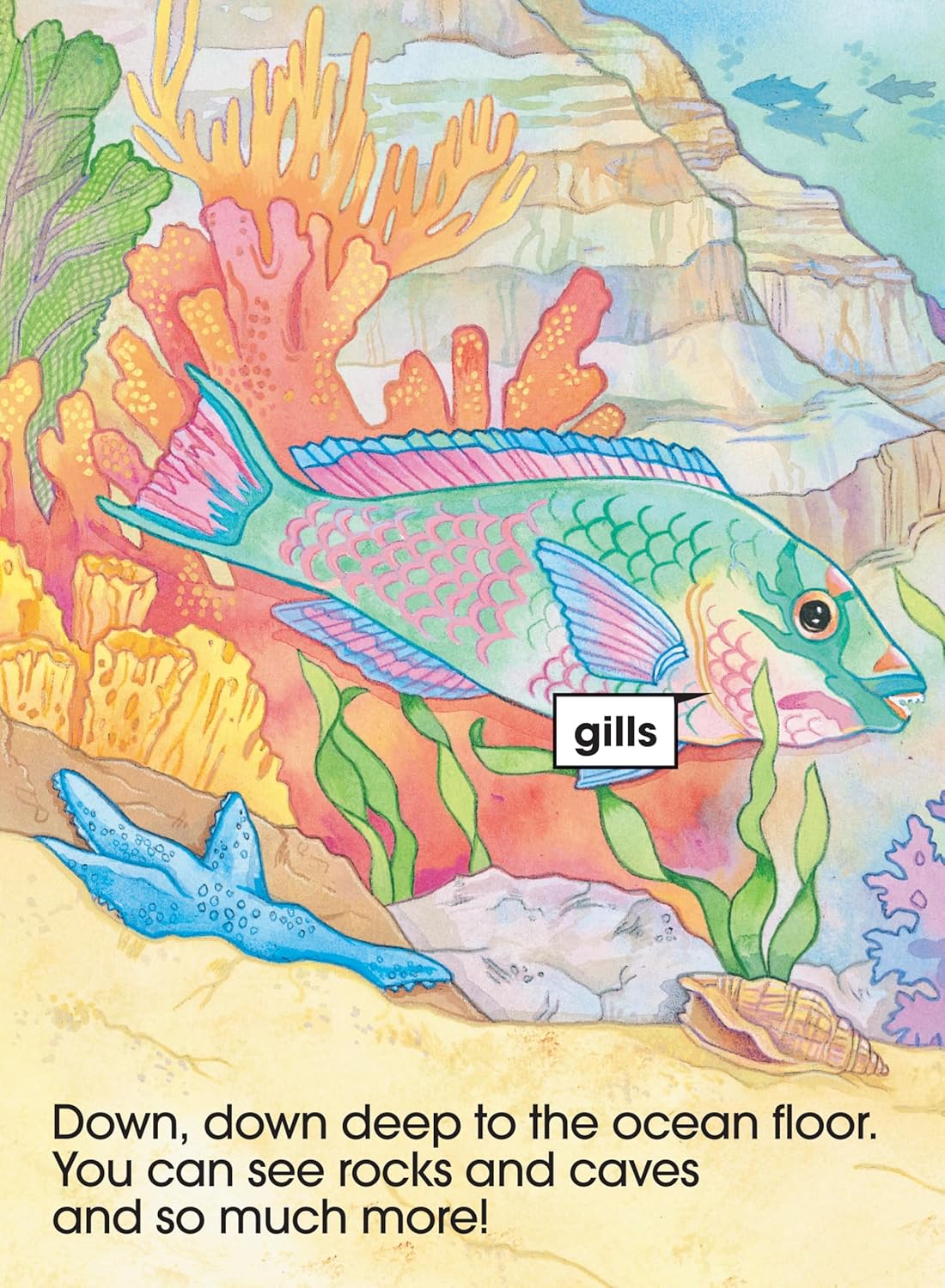 School Zone Underwater, Start to Read! Book Level 1: 16 Pages, Kindergarten, Reading Book, Sight Words, Rhyming, Vocabulary, Sentence Structure, Ages 4-6 (Start to Read! Book Series)