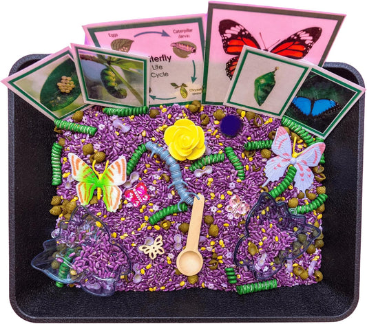 Sensory Bins, Butterfly Life Cycle, Colored Rice, Sensory Bin Filler, Sensory Table Filler, Classroom Accessories, Teaching Aids (Butterly Sensory Bin)