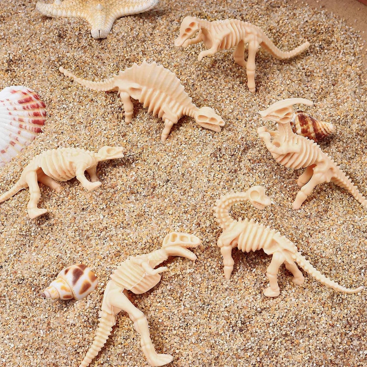 30 PCS Dinosaur Fossil Skeletons, Assorted Dinosaur Skeleton Toys Figures for Science Play Dino Sand Dig Party Favor Decorations (Dino skeletonD)