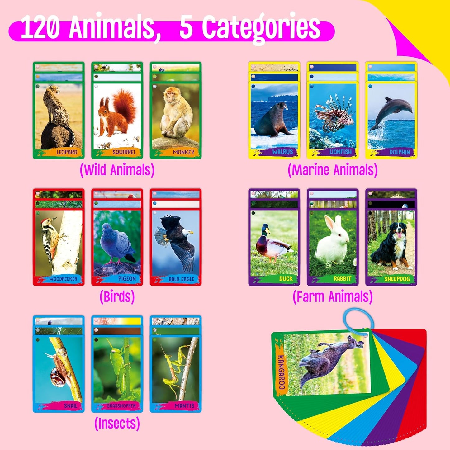 50 PCS Kid First Cognitive Flashcards,Double Sided Printed 7 in 1 Colorful Cards Alphabet,Numbers, Foods,Animals,Shapes,Colors with 3 Reclosable Rings,Learning Tool for Pre-K Kindergarten Toddlers